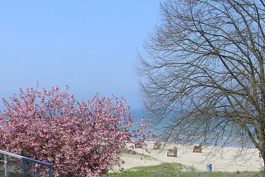 Villa Hansa Am Meer ทิมเมนดอร์เฟอร์ ชตรันด์ ภายนอก รูปภาพ